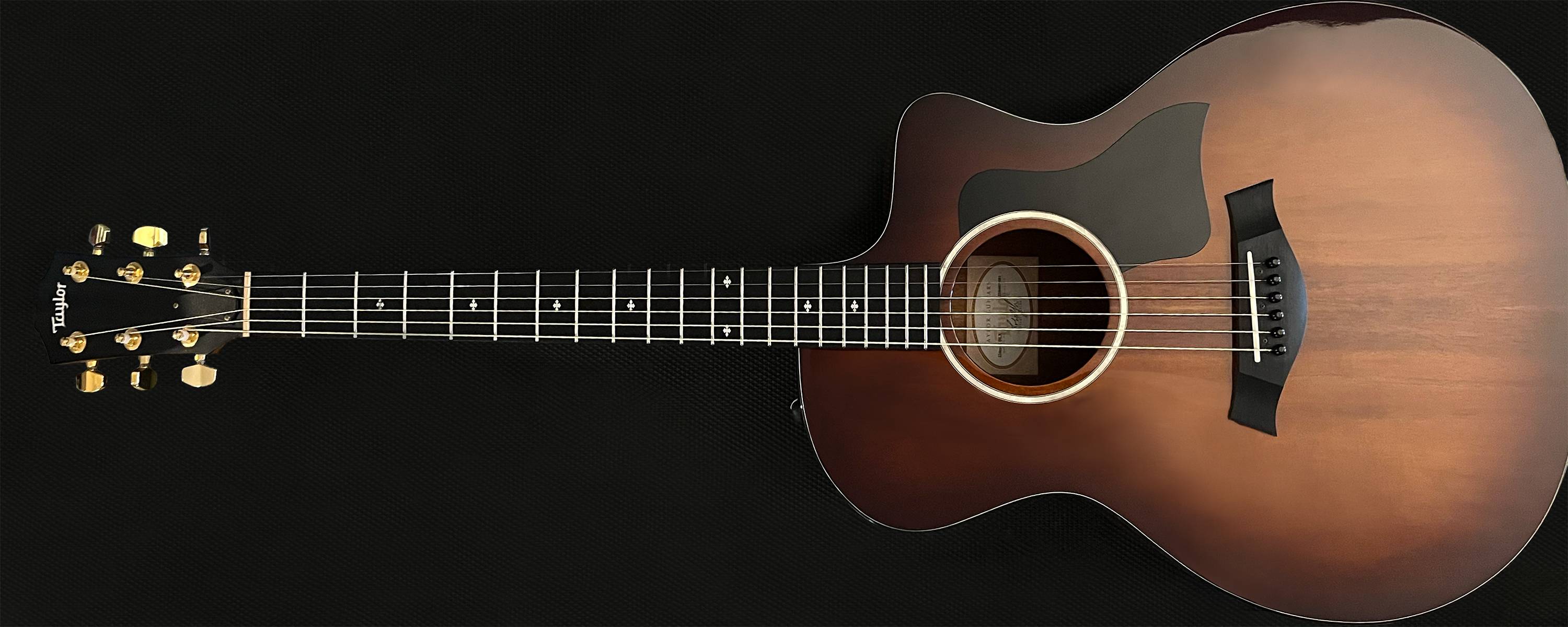 Taylor Acoustic Guitar